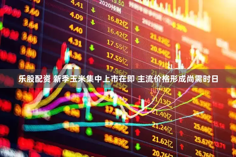 乐股配资 新季玉米集中上市在即 主流价格形成尚需时日